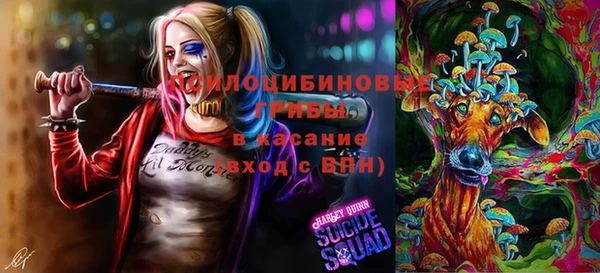 бутират Аркадак
