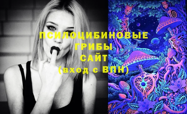 скорость Арсеньев